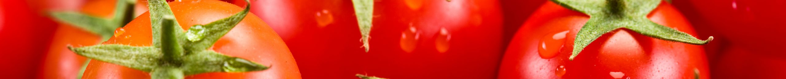 Cremette 100% Ingredientes naturales Tomate